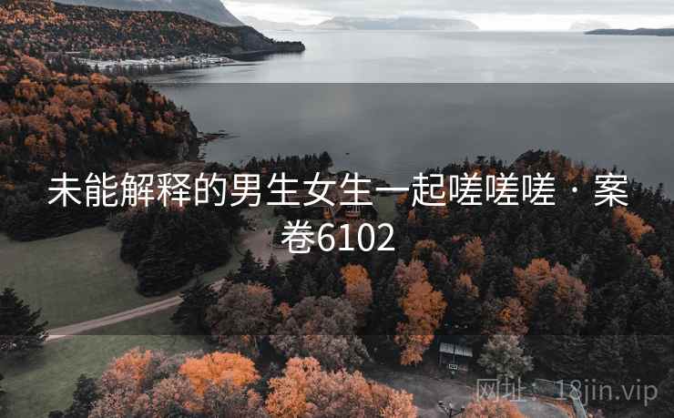 未能解释的男生女生一起嗟嗟嗟 · 案卷6102