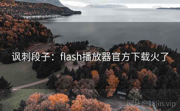 讽刺段子：flash播放器官方下载火了