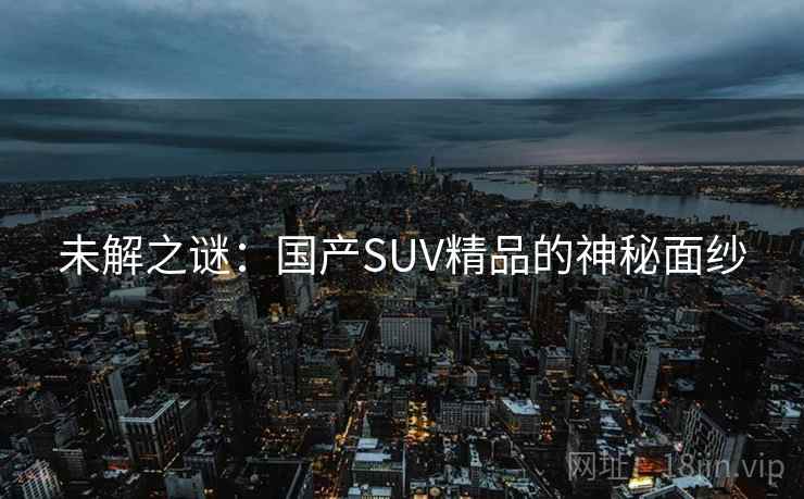 未解之谜:国产SUV精品的神秘面纱 未解之谜:国产SUV精品的神秘面纱